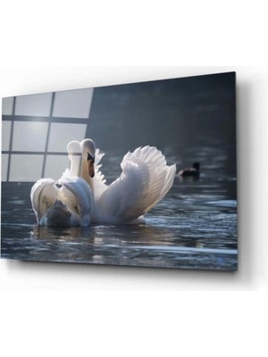 Marsilyan Ördek Cam Tablo