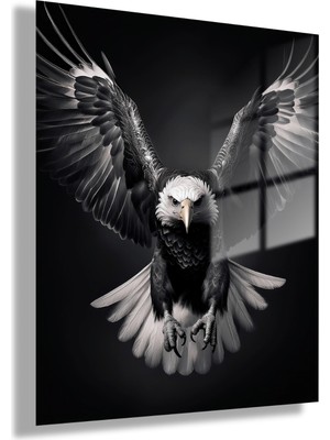 Gaagart Temperli Gerçek Cam Tablo Karşıdan Siyah Beyaz Kartal