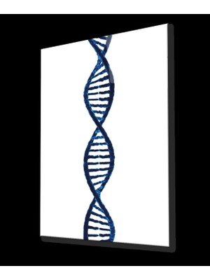 Marsilyan- Dna Geometrik Mimari Cam Tablo
