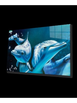 Marsilyan- Yunus Balıkları Cam Tablo Dolphins