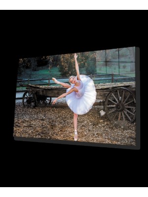 Marsilyan- Balerin Cam Tablo