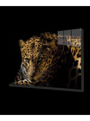 Marsilyan- Leopar Hayvan Cam Tablo, Leopard