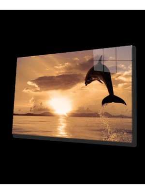 Marsilyan- Yunus Balığı Cam Tablo Dolphin