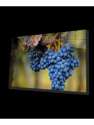 Marsilyan- Üzüm Mutfak Natürmort Cam Tablo