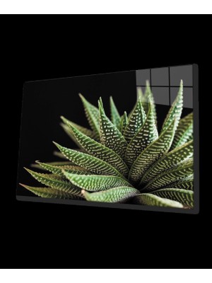 Marsilyan- Aloevera Bitki Cam Tablo  Cam Tablo, Purple Flower