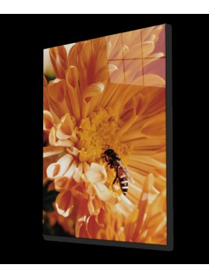 Marsilyan- Sarı Çiçek Arı Cam Tablo Yellow Flower Bee