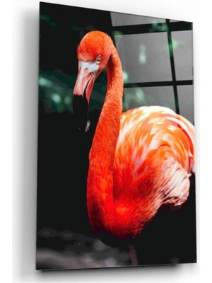 Marsilyan- Flamingo Cam Tablo