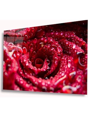 Marsilyan- Kırmızı Gül Cam Tablo