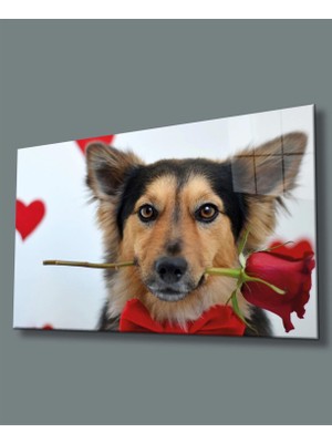 Marsilyan- Köpek ve Gül Cam Tablo