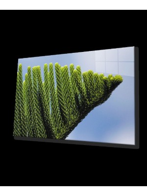 Marsilyan- Yeşil Bitki Cam Tablo   Green Plant