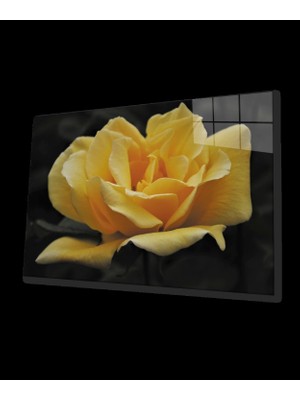 Marsilyan- Gül Cam Tablo