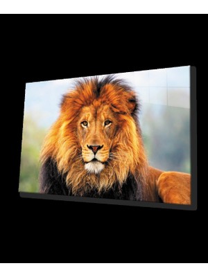 Marsilyan- Aslan Cam Tablo