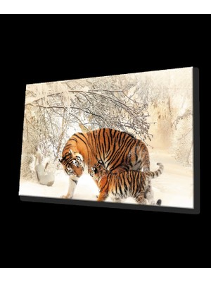 Marsilyan- Kar Manzara Leopar Cam Tablo