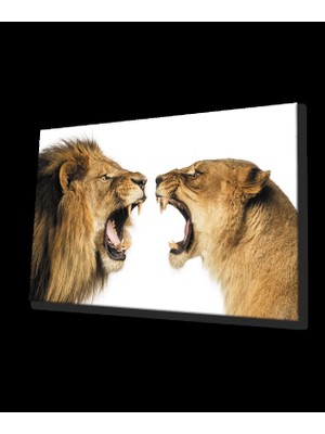 Marsilyan- Aslan Cam Tablo