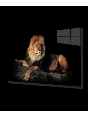 Marsilyan- Aslan Cam Tablo