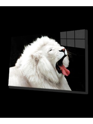 Marsilyan- Aslan Cam Tablo