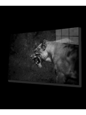 Marsilyan- Aslan Cam Tablo