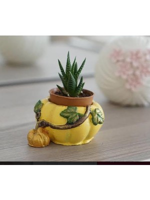 Ipek Hobi Küçük Yavrulu Bal Kabağı Silikon Kalıp