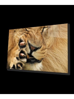 Marsilyan- Aslan Cam Tablo