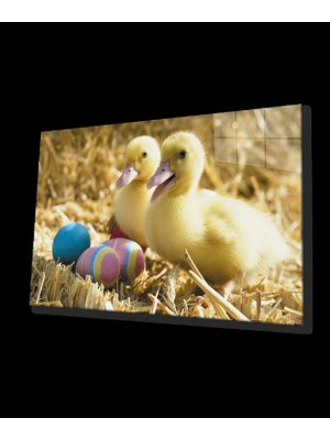 Marsilyan- Sarı Ördekler