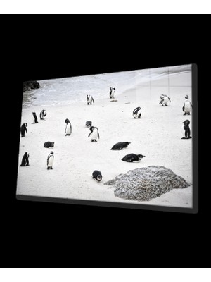 Marsilyan- Penguen Cam Tablo