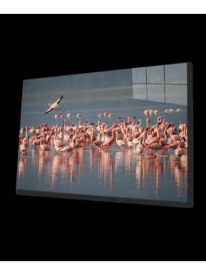 Marsilyan- Flamingo Cam Tablo