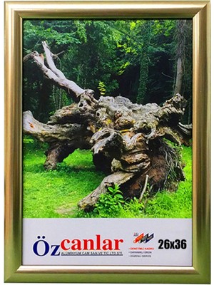 Çerçeve Ev Home Ofis Kişiye Özel Resim Çerçevesi Masaüstü 26 x 36