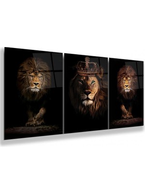 Emya Home Aslan Üçlü Cam Tablo