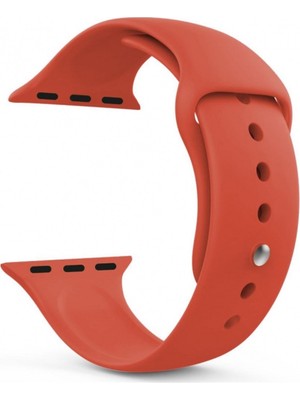 Skygo Akıllı Saat Silikon Kordon 42/44 Mm Turuncu