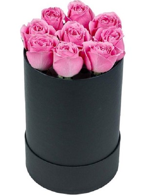 Fidanova Canlı Gül Kutuda, Pembe