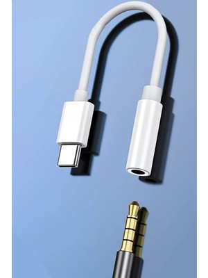 Techno Station Type-C Girişli Kablolu Kulaklık Çevirici Aux 3.5 mm Kablo ile Uyumlu SW-T35