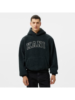 Serif Teddy.1