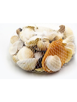 Deniz Kabuğu Filede 200 gr