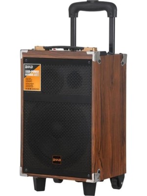 Baab Q8 Profosyonel Ahşap Kasa Taşınabilir 25X27X46 Kumandalı Mikrofonlu,bluetoothlu,hoparlör