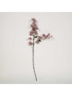 Vitale Kiraz Çiçeği Purple Kiray Çiçek 20*100*9 cm