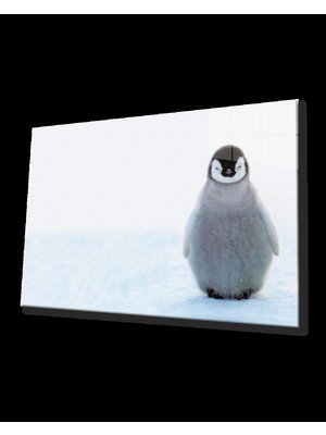 Marsilyan- Penguen Cam Tablo   Penguin Table