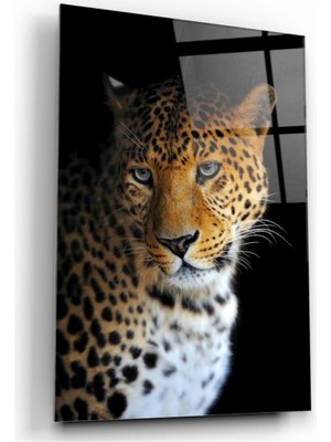 Marsilyan- Leopar Cam Tablo