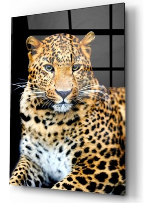 Marsilyan- Leopar Cam Tablo