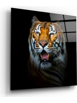 Marsilyan- Kaplan Cam Tablo