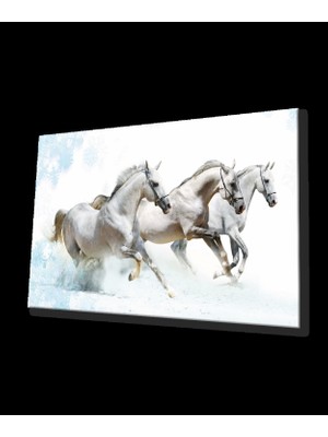 Marsilyan- Beyaz Atlar Hayvanlar Cam Tablo Ev ve Ofis Duvar Dekoru