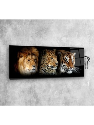 Marsilyan- Aslan, Leopar ve Kaplan Panoramik Cam Tablo