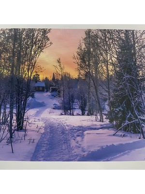 5d Yapışan Boncuk Goblen 30 x 40 cm Mozaik Tablo Pano 60450