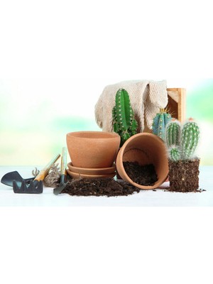 TNC Garden Groups Kaktüs Sukulent Toprağı 30 Lt