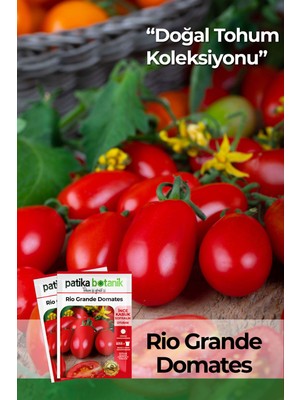 Patika Botanik 200 Adet Rio (Bursa, Salçalık) Domates Tohumu Türkiye Menşeli Yüksek Verim
