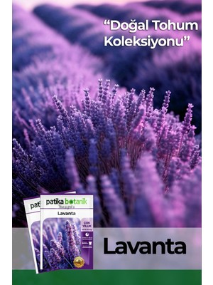 Patika Botanik 100 Lavanta (Lavandula) Çiçek Tohumu Yüksek Verim Özellikleri ile Türkiye Menşeli