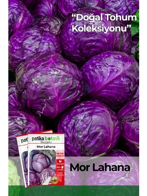 Patika Botanik Mor (Kırmızı) Lahana Tohumu 500 Adet Yüksek Verim Türkiye Menşeli Güçlü Tedarik Elektronik Hizmetler Ltd. Şti.