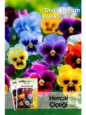 Patika Botanik 100 Adet Hercai Menekşe (Viola) Çiçek Tohumu