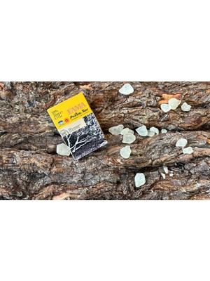 Mastiha Chios Damla Sakızı Büyük Boy 20 gr