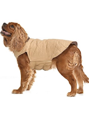 Petza Küçük ve Orta Irk Köpek Mont Kampe Çift Taraflı Krem