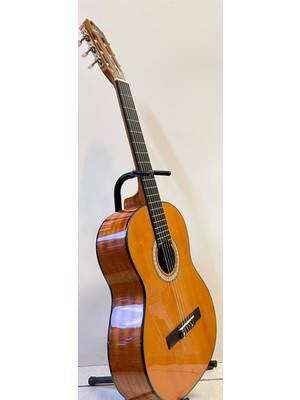 Artemis Profesyonel Klasik Gitar